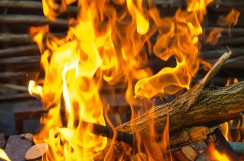 Bonfire light Stock Photos