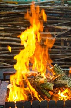 Bonfire light Stock Photos