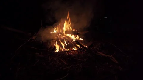 Bonfire lit by the burning twigs. Stock Footage 146270532
