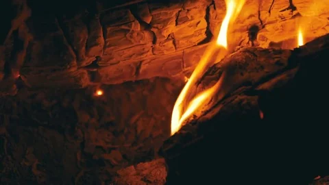 Bonfire Lit at Night in the Forest Stock Footage 79391435