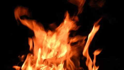 Bonfire, logs burning with an orange flame Video stock 99965302