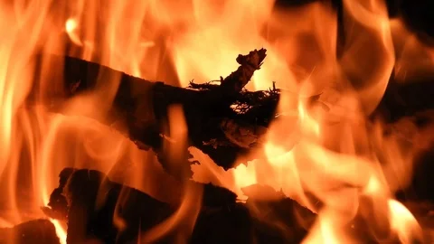 Bonfire, logs burning with an orange flame Video stock 99965313