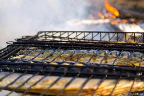 Bonfire mackerel fish Stock Photos