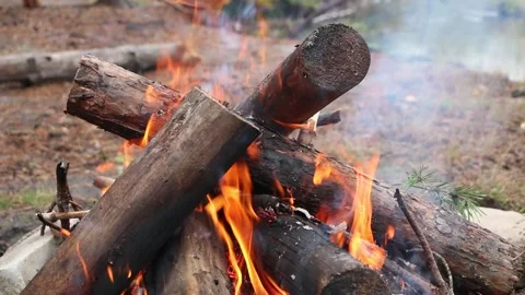 Bonfire made of pine sticks and branches is burning Video stock 161620009