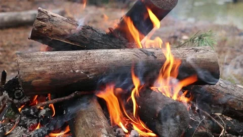 A bonfire made of pine sticks and branches is burning Video stock 161620508