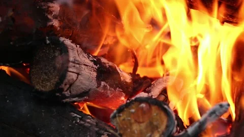 A bonfire made of pine sticks and branches Video stock 161621765