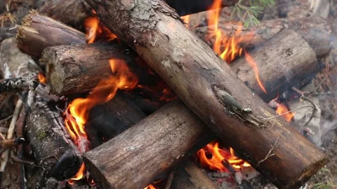 A bonfire made of pine sticks and branches Video stock 161621793