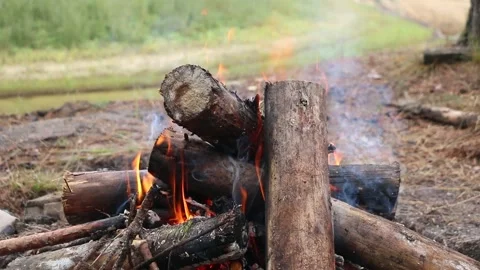 Bonfire made of pine sticks Video stock 161551186