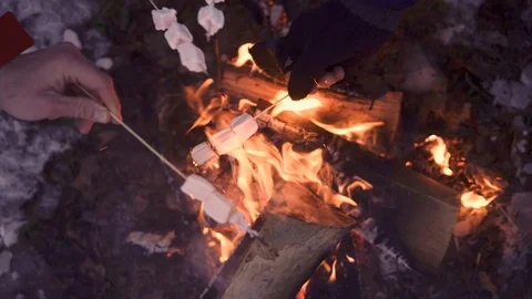 Bonfire with marshmallow in winter time. Happy friends spend good time Stock Footage 102225614