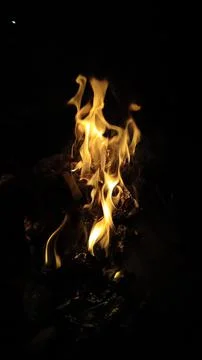 Bonfire at the midnight Stock Photos