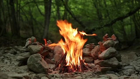 Bonfire in the mountain forest of Crimea. Stock Footage 79263464