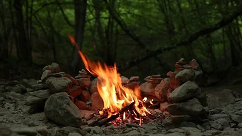 Bonfire in the mountain forest of Crimea. 스톡 동영상 79284481