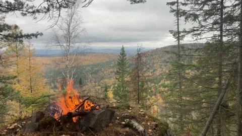 Bonfire in the mountains Video stock 144802260
