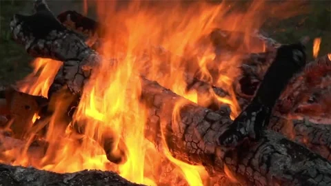 Bonfire on Nature Stock Footage 103453825