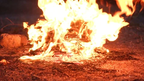 Bonfire in nature Stock Footage
