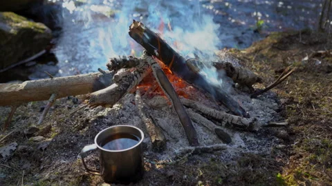 Bonfire in nature Stock Footage