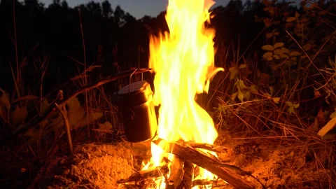 Bonfire in nature at night Stock Footage 152373813