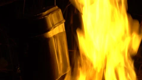 Bonfire in nature at night Stock Footage 152373816