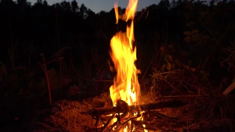 Bonfire in nature at night Stock Footage 152373824