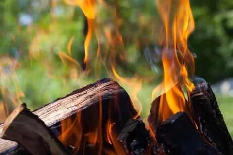 Bonfire on the nature Stock Photos