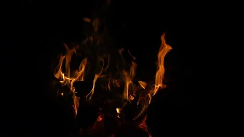 Bonfire at night, 240 fps slow motion Stock Footage 97759367