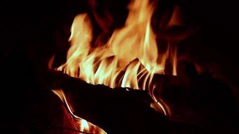 Bonfire at night. Bright flame Stock Footage 168585498