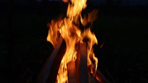 Bonfire at night. Campfire background Stock Footage 141496529