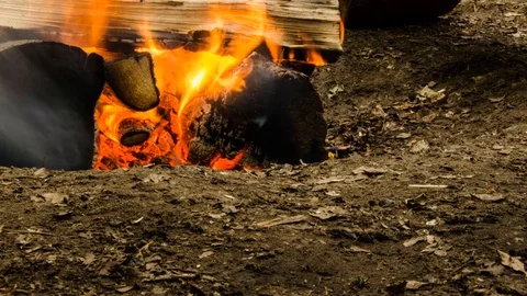 Bonfire night. Caster burns quickly. Time Lapse. 101 Stock Footage 93366068