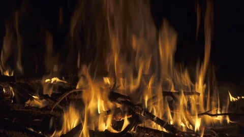 Bonfire at night close up Stock Footage 98151869