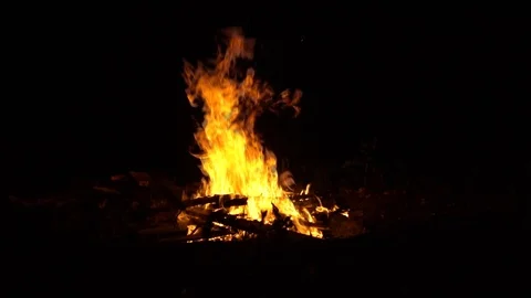 Bonfire in night. Close view. Slow motion. Campfire in the woods. Stock Footage 113003854