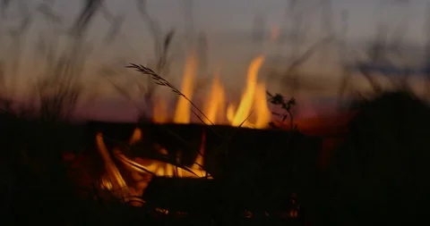 Bonfire at night in the field Stock-Footage 111370401