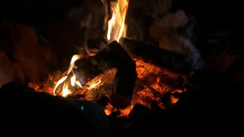 Bonfire In The Night Flames Stock Footage 113059777