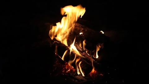 Bonfire at night Stock Footage 1008872