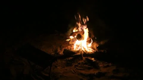Bonfire in the night. Stock Footage 8861514