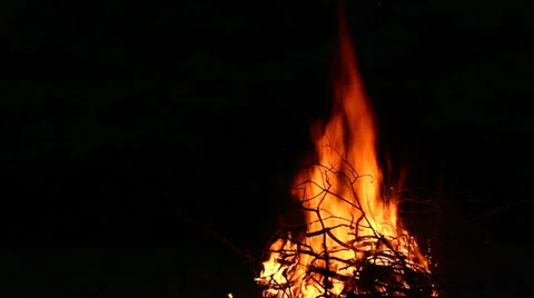 Bonfire at night Stock Footage 24582626