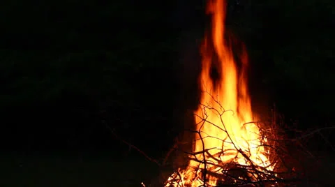 Bonfire at night Stock Footage 24584465