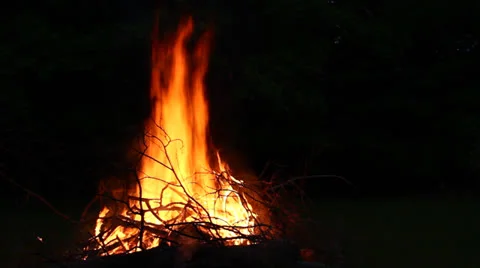 Bonfire at night Stock Footage 24586051