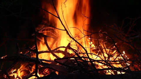 Bonfire at night Stock Footage 24587595