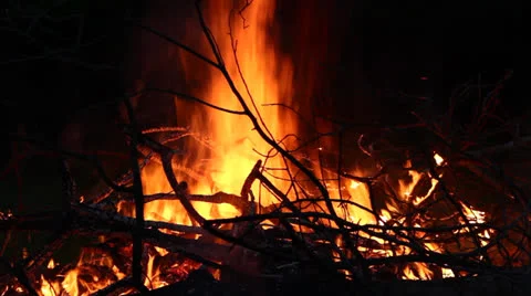 Bonfire at night Stock Footage 24589074