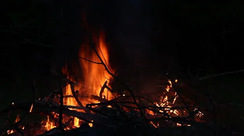 Bonfire at night Stock Footage 24590461