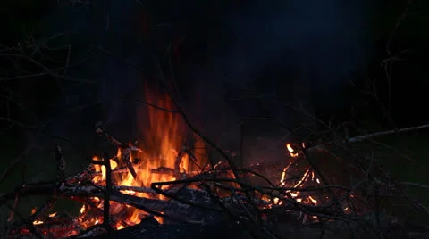 Bonfire at night Stock Footage 24591799