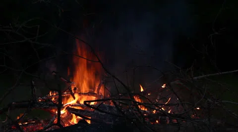 Bonfire at night Stock Footage 24593098
