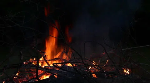 Bonfire at night Stock Footage 24594444