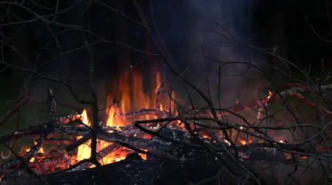 Bonfire at night Stock Footage 24595847