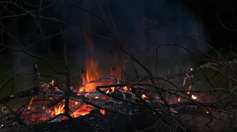 Bonfire at night Stock Footage 24597103