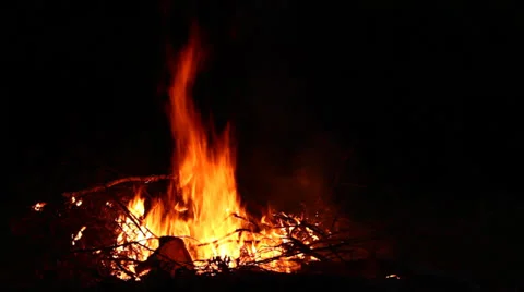Bonfire at night Stock Footage 24598394