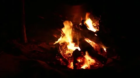 Bonfire in the night Stock Footage 47952596
