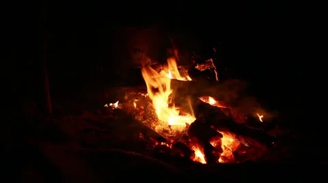 Bonfire in the night Stock Footage 47952604