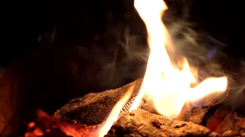 Bonfire in the night Video stock 64053800