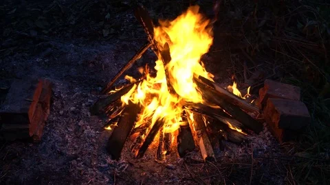 Bonfire night Stock Footage 79577843